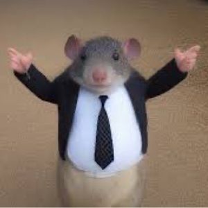 Meet your Posher, Kenia